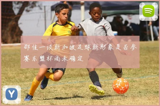 邵佳一谈新加坡足球新形象是否参赛东盟杯尚未确定